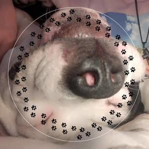 Meet your Posher, Camala